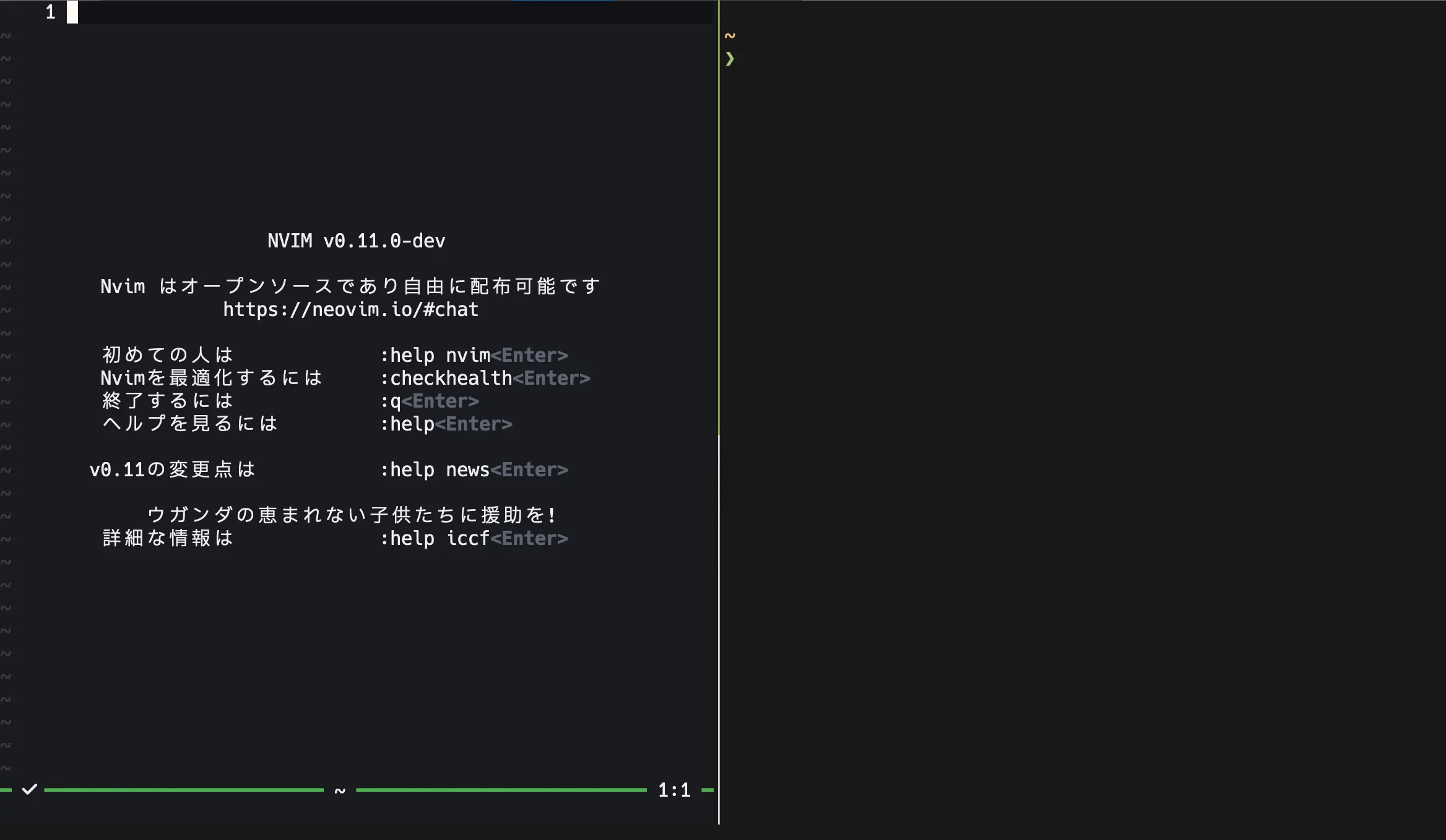 右 Vim、左 tmux